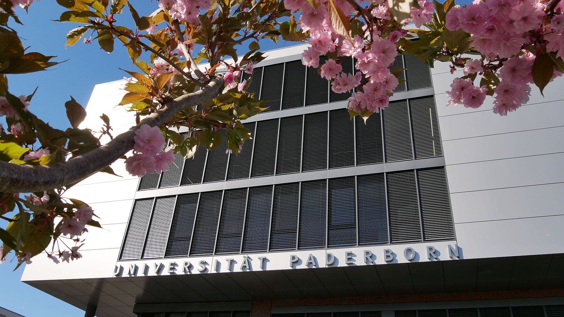 Ein Gebäude der Universität Paderborn im Hintergrund, Kirschzweige im Vordergrundf.