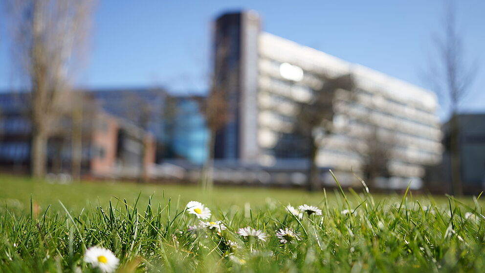 Gebäude der Universität Paderborn im Hintergrund. Im Vordergrund eine grüne Wiese mit Gänseblümchen.