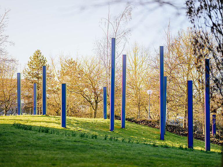 Wiese mit bunten Säulen im Herbst