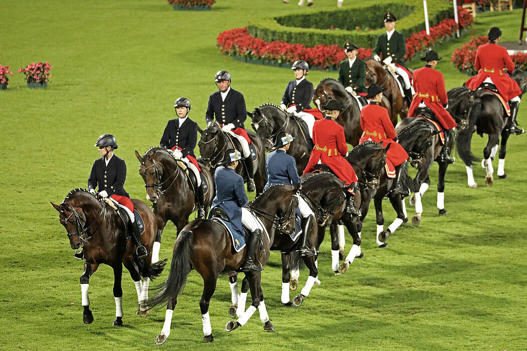 Die klassische deutsche Reitlehre