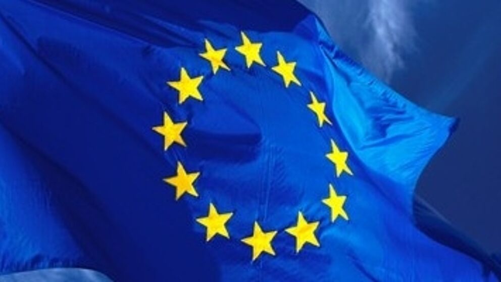 Abbildung: Header EU-Vorlage
