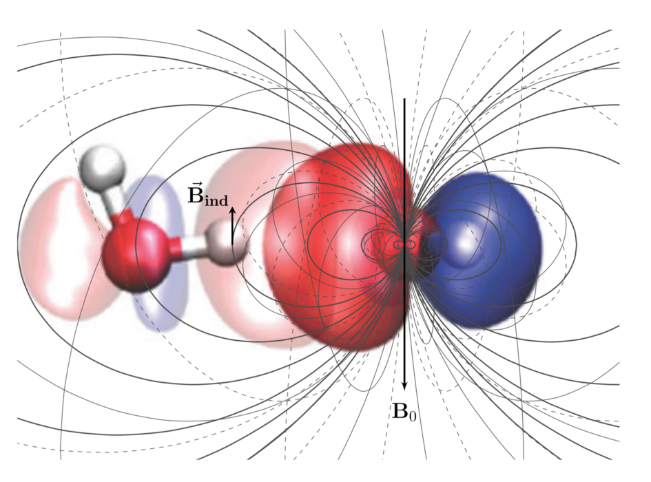 Abbildung: Das mikroskopische magnetische Feld, das zwischen benachbarten Wassermolekülen induziert wird.