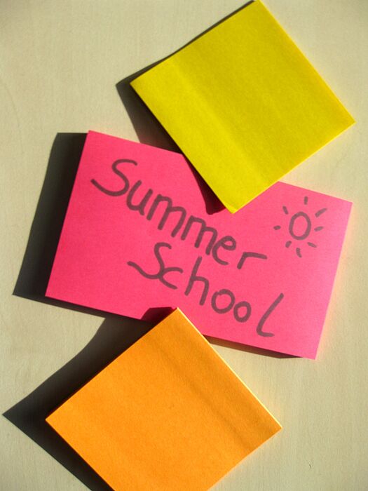 Abbildung: Hinweis Summer School