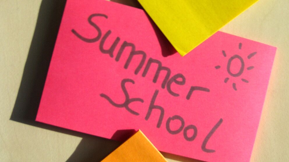 Abbildung: Hinweis Summer School
