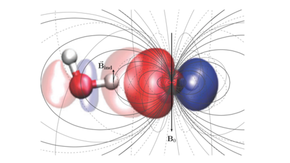 Abbildung: Das mikroskopische magnetische Feld, das zwischen benachbarten Wassermolekülen induziert wird.