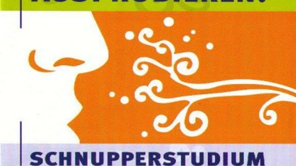 Grafik Schnupperstudium
