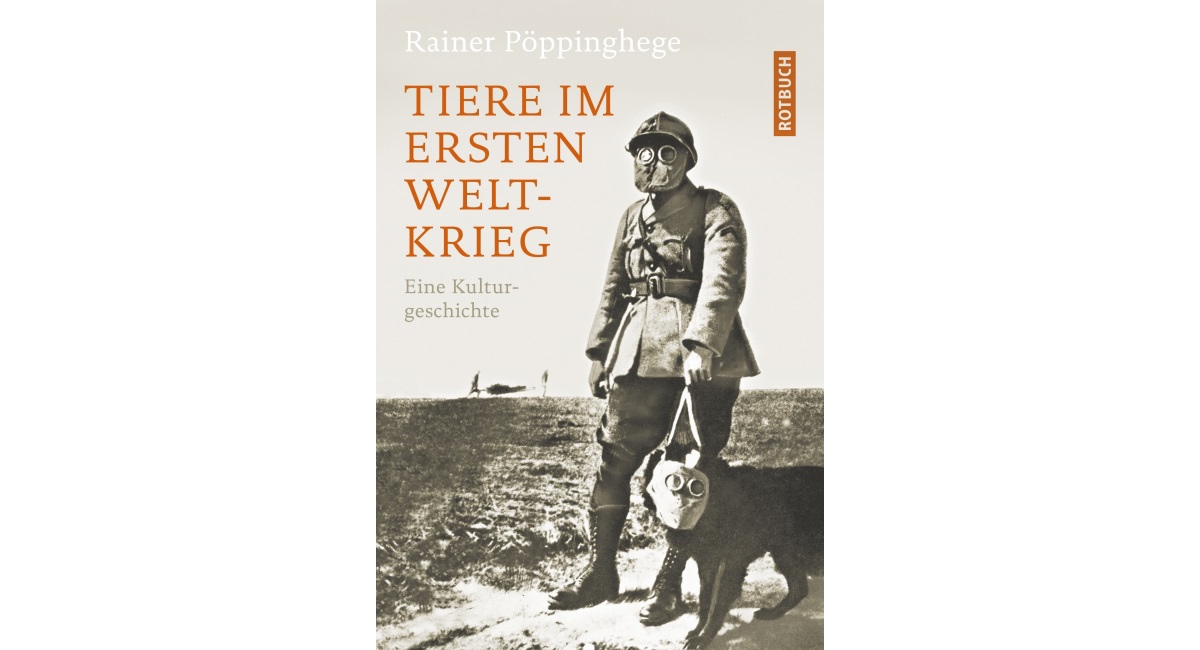 Abbildung: Buchcover