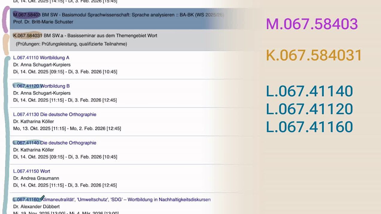 Module, Bausteine, Lehrveranstaltungen
